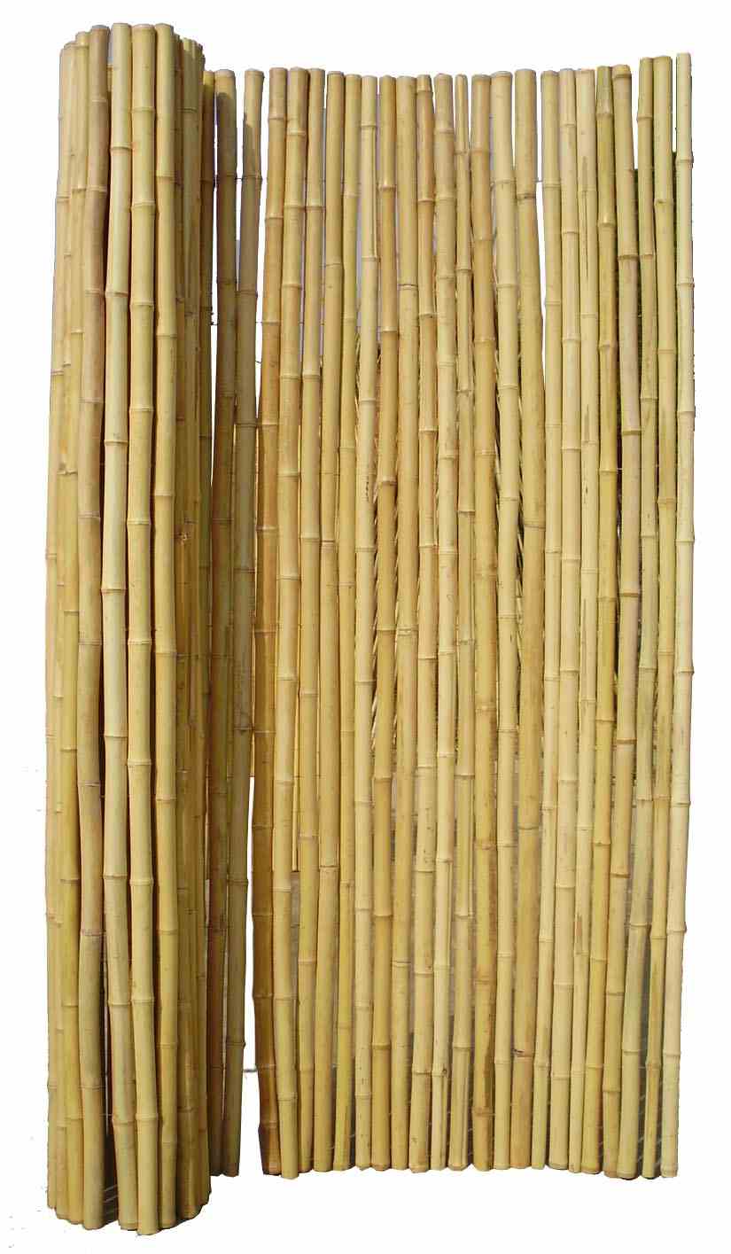 brise-vue-bambou-rond