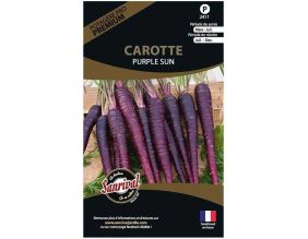 Graines potagères premium carotte (Purple sun)