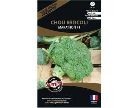 Graines potagères premium chou (Chou brocoli Marathon)