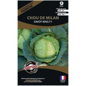 Graines potagères premium chou (Chou de Milan Savoy King)