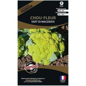 Graines potagères premium chou (Chou fleur vert Di Macerata)