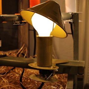 Lampe à clipser en métal Mush room (Olive)