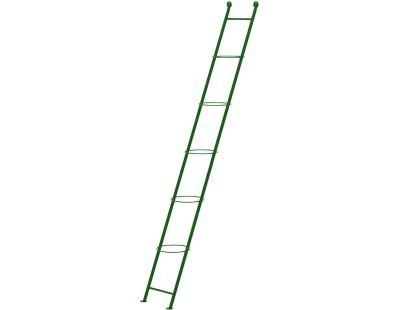 Support à plantes en acier Ladder (Vert)