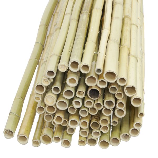 Canisse en bambou
