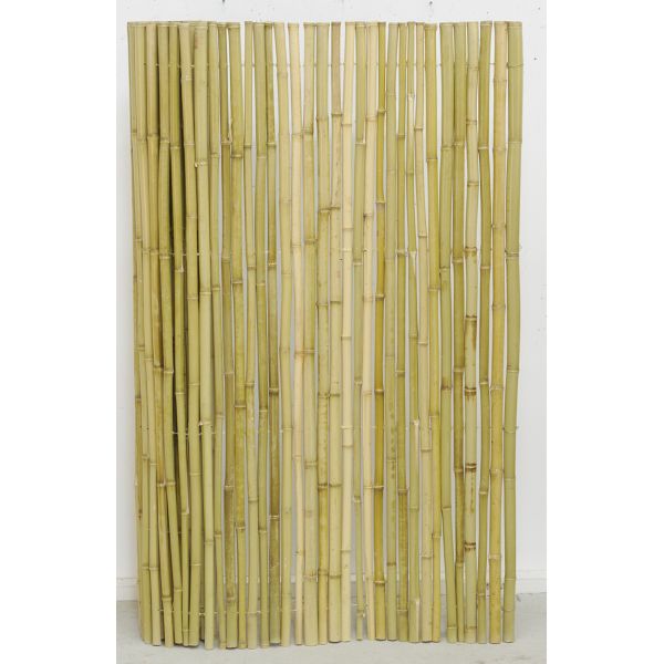 Canisse en bambou - 5