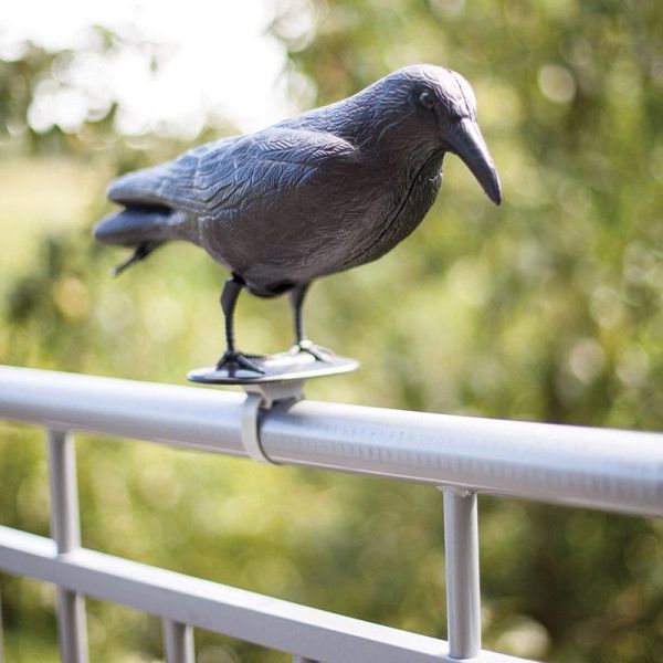 Epouvantail corbeau pour éloigner les pigeons - 8,90