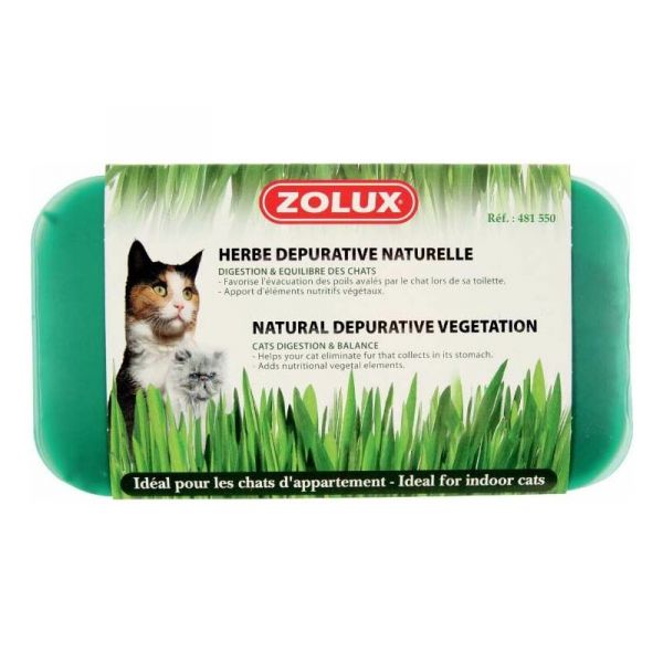 Herbe à chat dépurative naturelle - ZOL-1532