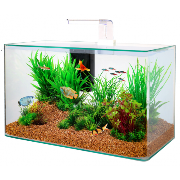 Kit aquarium Aqua clear 50