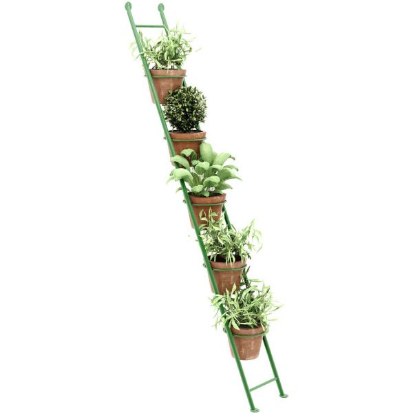 Support à plantes en acier Ladder - 5