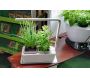Jardinière avec lampe led intégrée Mini potager - 5