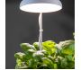 Lampe de croissance pour plantes ampoule led - 6