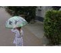 Parapluie transparent singe pour enfant - ESS-0938