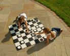 Jeu g�ant