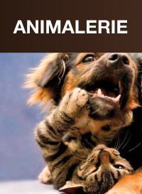 ANIMALERIE