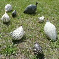 Animaux d�coratifs