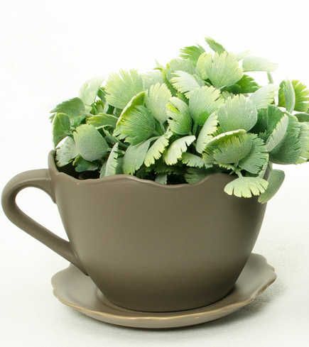 CACHE POT TASSE GEANTE TAUPE