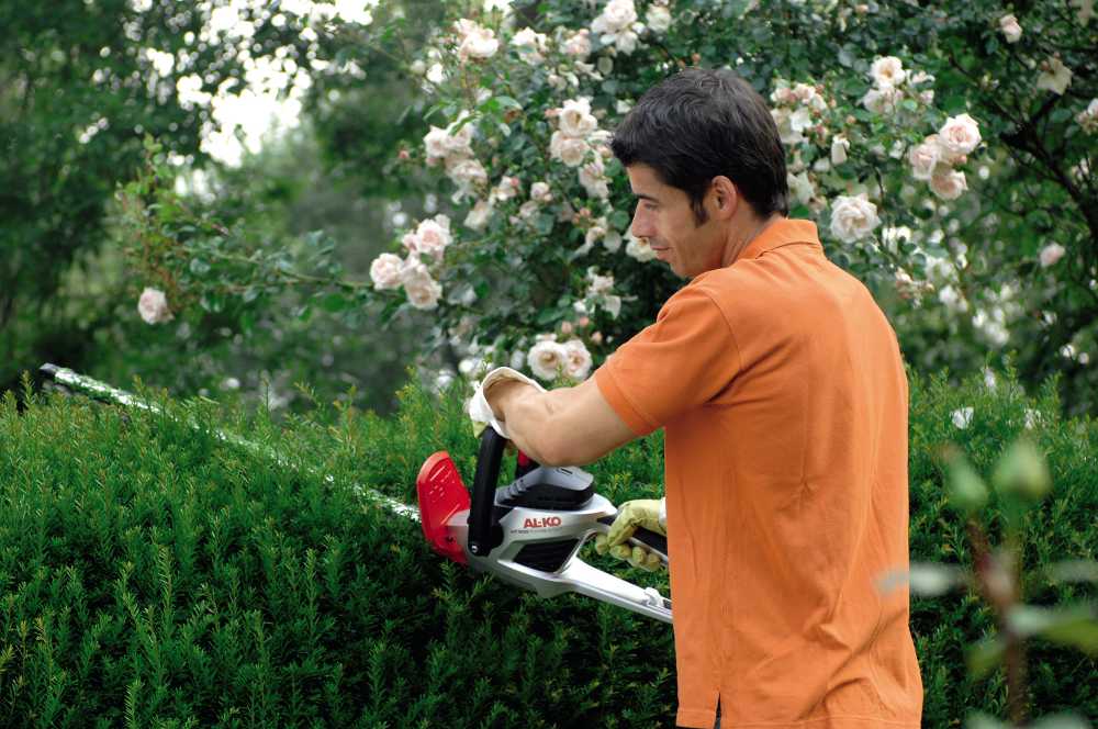 Taille Haie HT 600 Flexible Cut Coupe de 24mm
