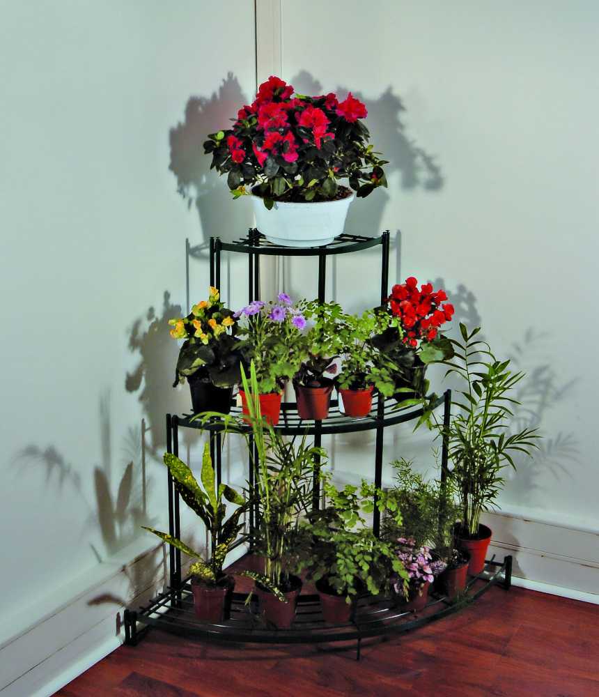 Etag�re d'angle pour plantes