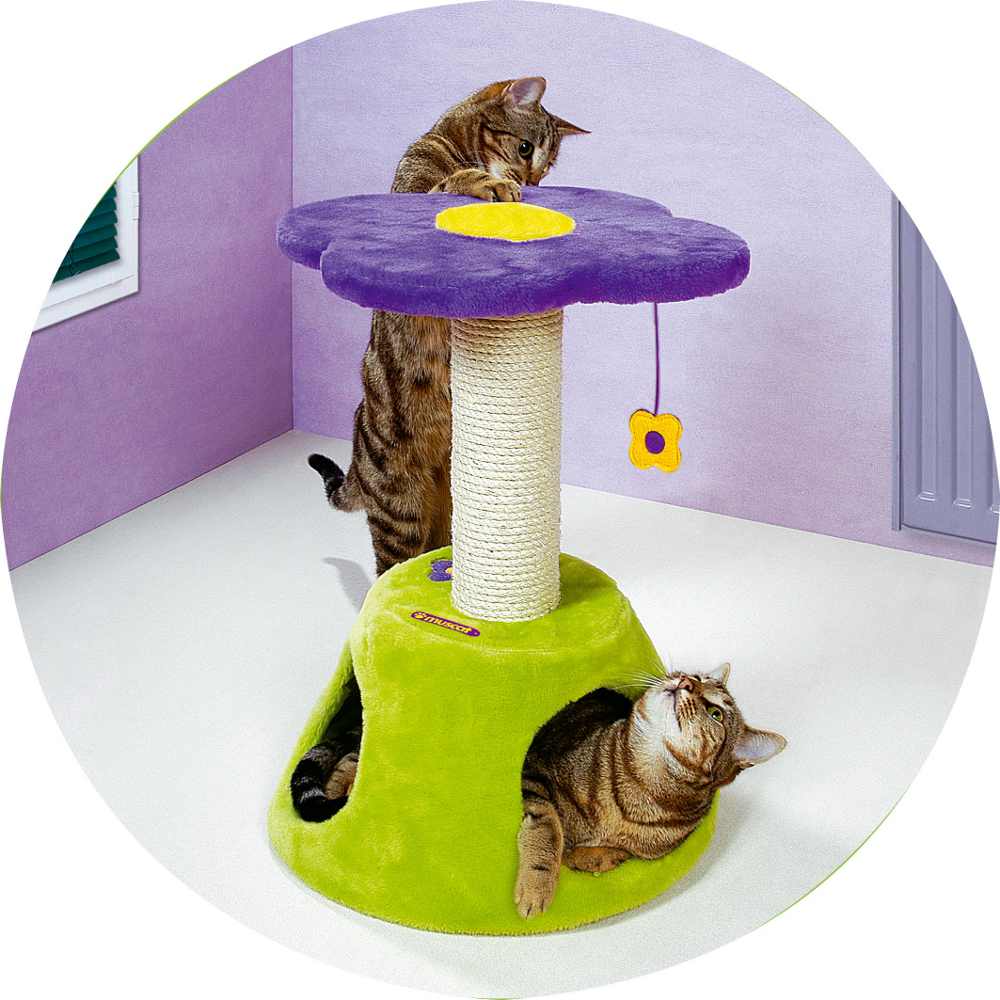 PETIT ARBRE A CHAT MYRTILLE