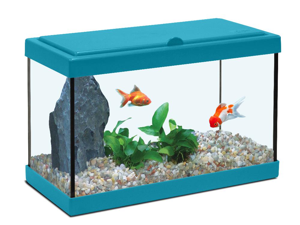 Decoration Enfant Bleu Lagon Decoration Enfant Bleu Lagon