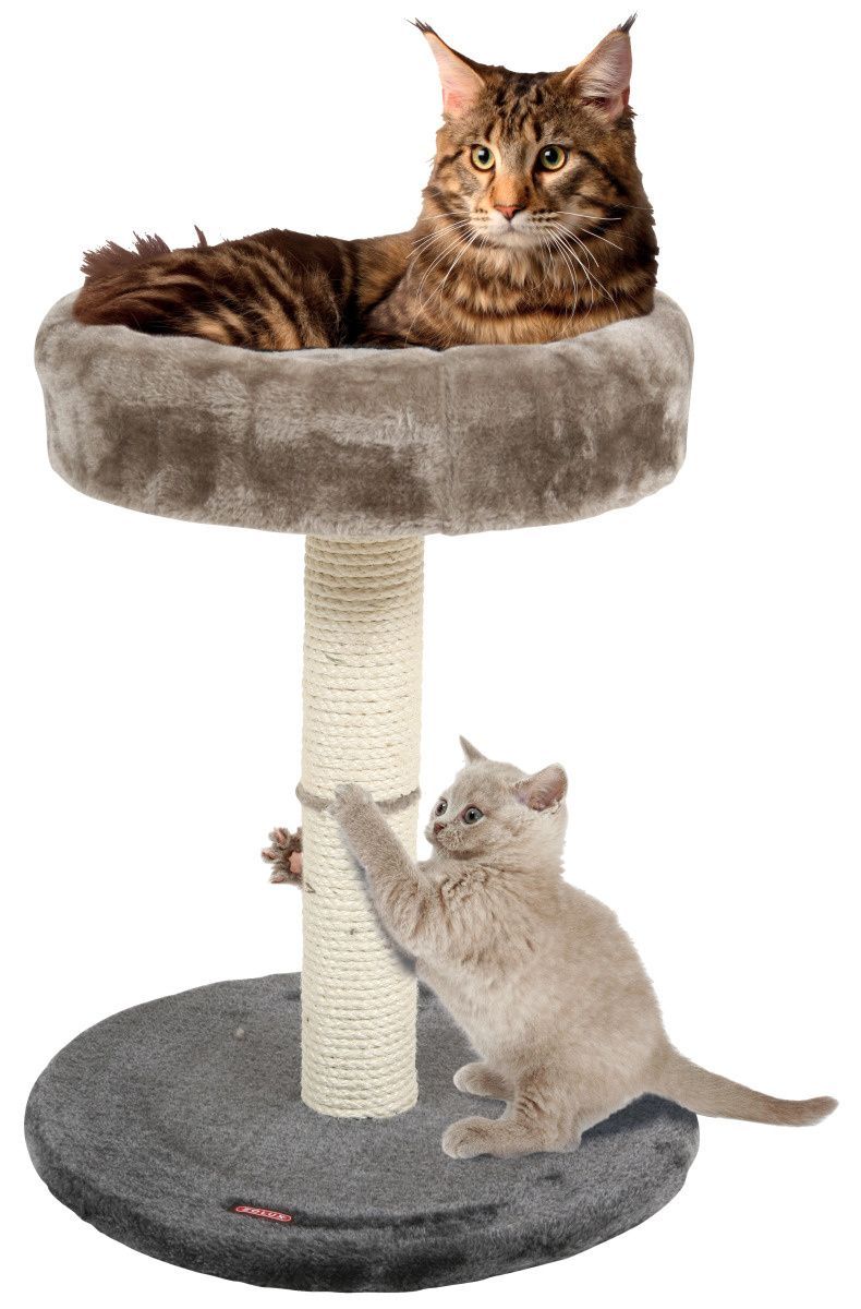 Arbre à chat 4 en 1