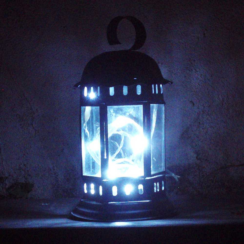 Guirlande Solaire 10 leds Blanches 80cm by Feerie solaire