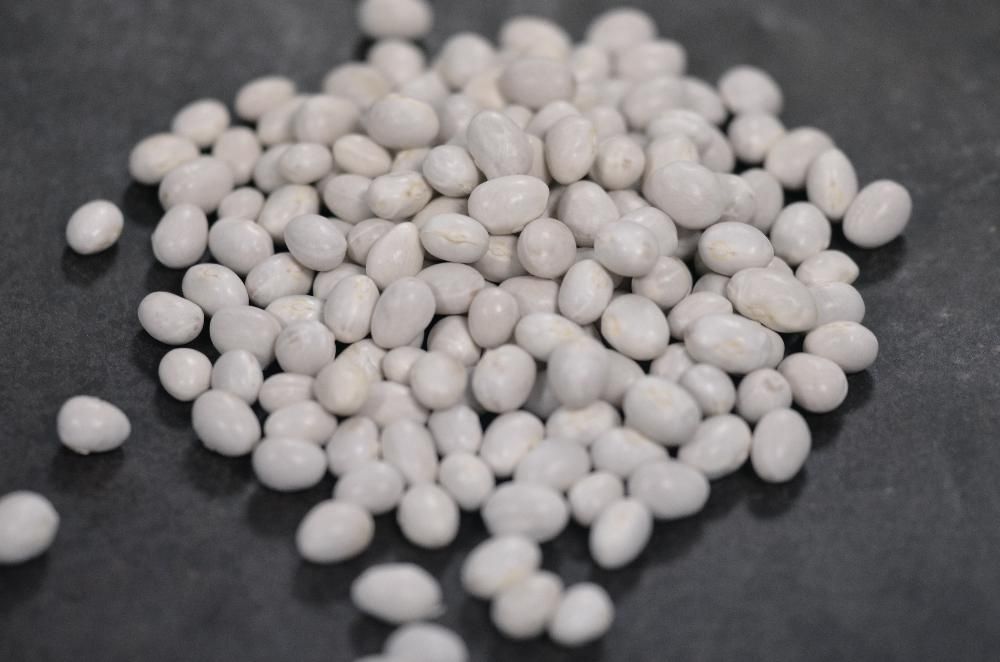 Haricot à rames coco gros sophie ab