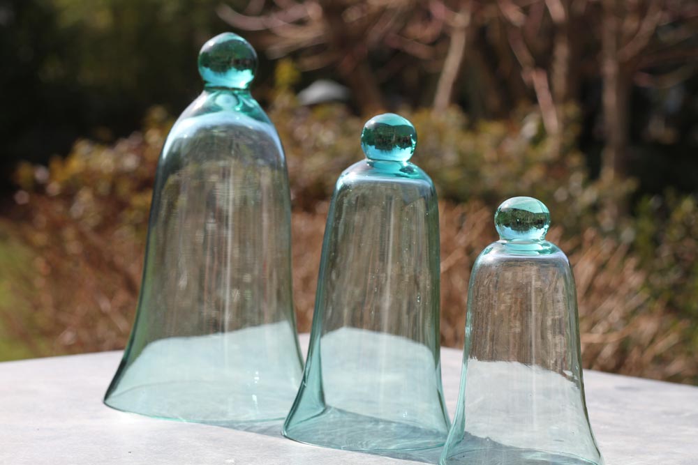 CLOCHES EN VERRE PM (PAR 3)