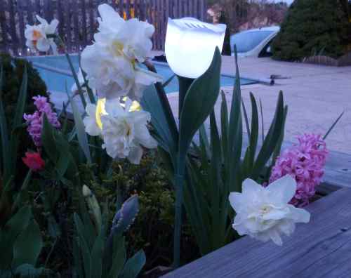 LAMPE SOLAIRE TULIPE BLANCHE