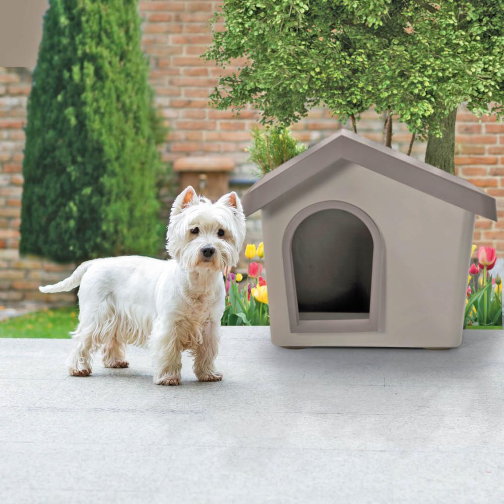 Niche pour petit chien zeus
