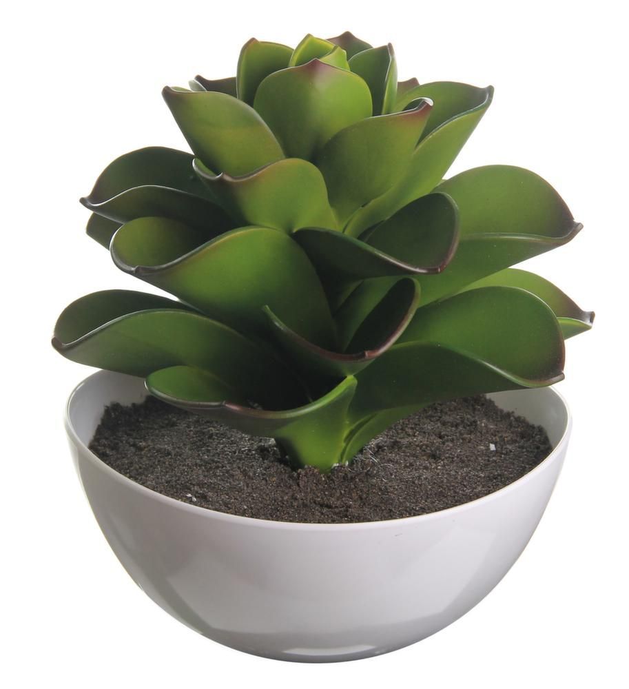 Plante grasse artificielle 26cm