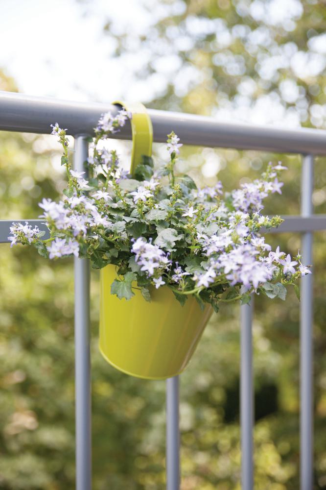 Pot de fleur balcon à suspendre