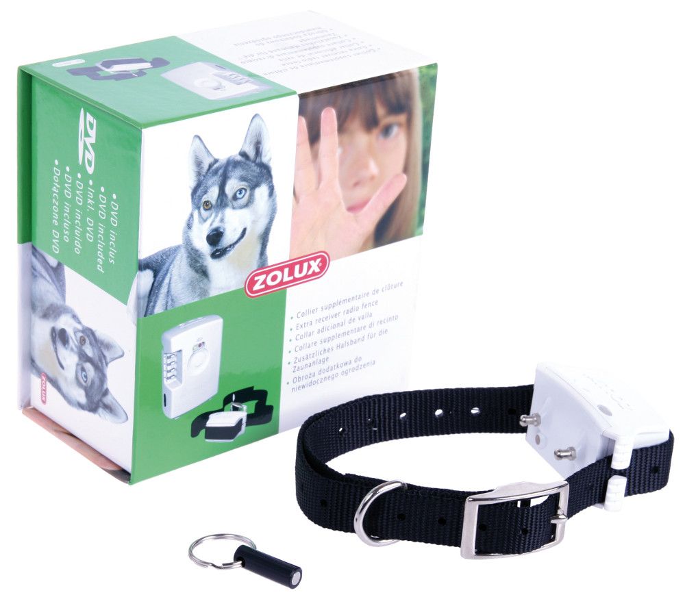 cloture electrique chien zolux