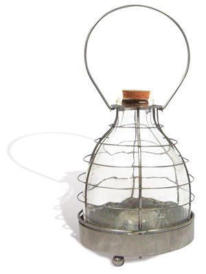 image_Pi�ge � gu�pes en Verre et M�tal 17x17x23cm