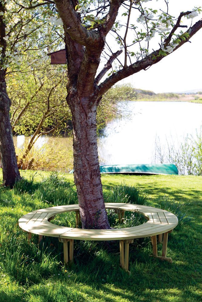 ALEXANDER ROSE TRADITIONAL Banc Circulaire Tour d'arbre en Pin 191x45cm