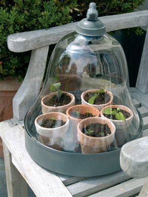 ESSCHERT DESIGN CLOCHE VERRE ET PLATEAU