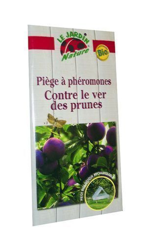 image_PIEGE A PHEROMONES