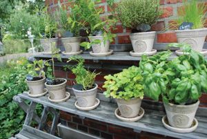 image_ETAGERE A PLANTES 