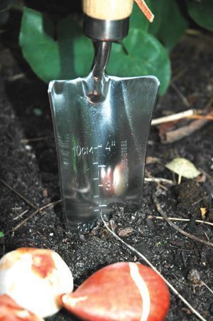 ESSCHERT DESIGN PELLE TRANSPLANTOIR