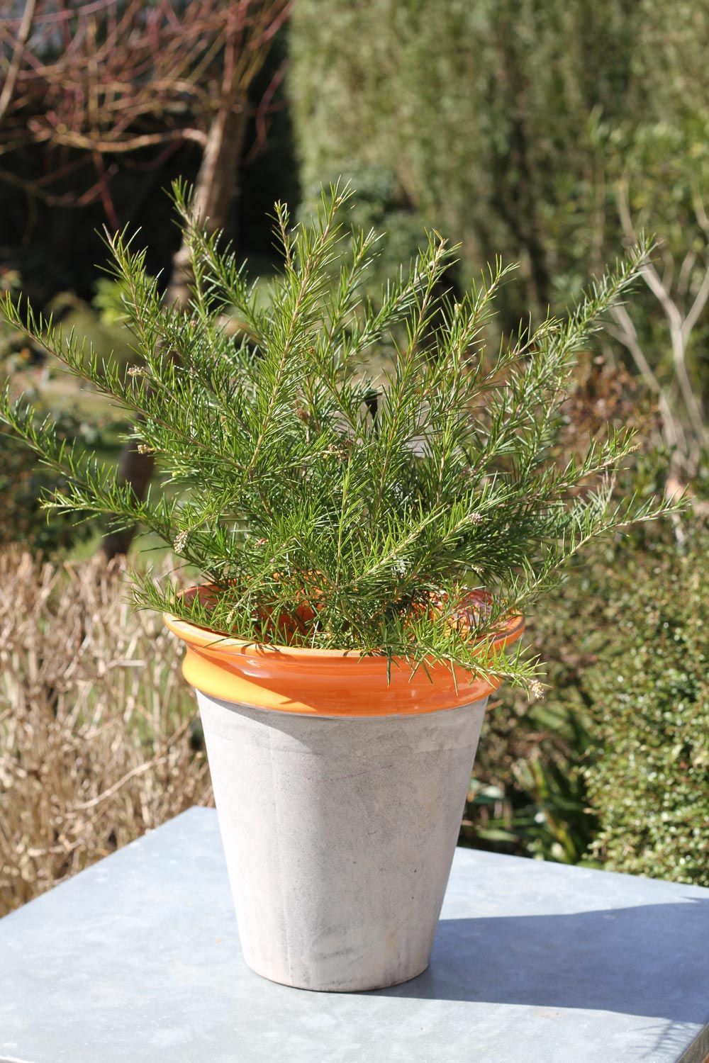 image_Cache pot Orange en B�ton 30x28.,5cm