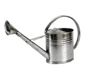  Arrosoir en Zinc 10 litres