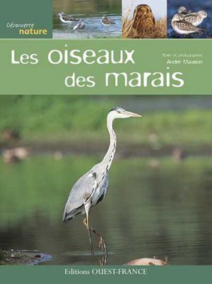 image_LES OISEAUX DES MARAIS