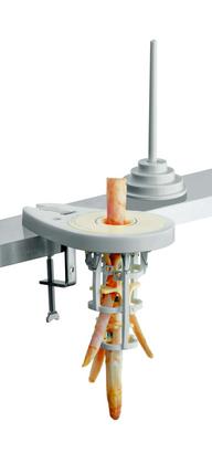 Epluche-asperges intelligent en Acier inoxydable
