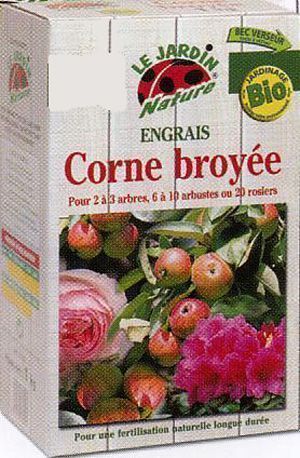 image_CORNE BROYEE