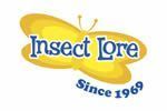 INSECTE LORE en vente sur Jardindeco