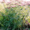Support à plantes courbé en acier (Lot de 6)