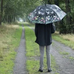 Parapluie oiseau couleurs changeantes