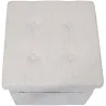 Pouf coffre pliable avec range magazines