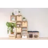 Cube de rangement en pin massif Dinamic