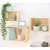 Caisse de rangement en pin massif Home box